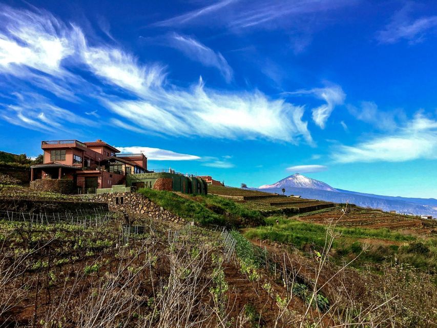 Tenerife Private Tour: Mount Teide Nature and Wine - Frequently Asked Questions