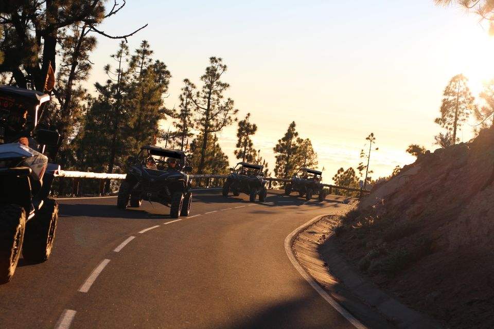 Tenerife: Teide National Park Guided Morning Buggy Tour - Frequently Asked Questions