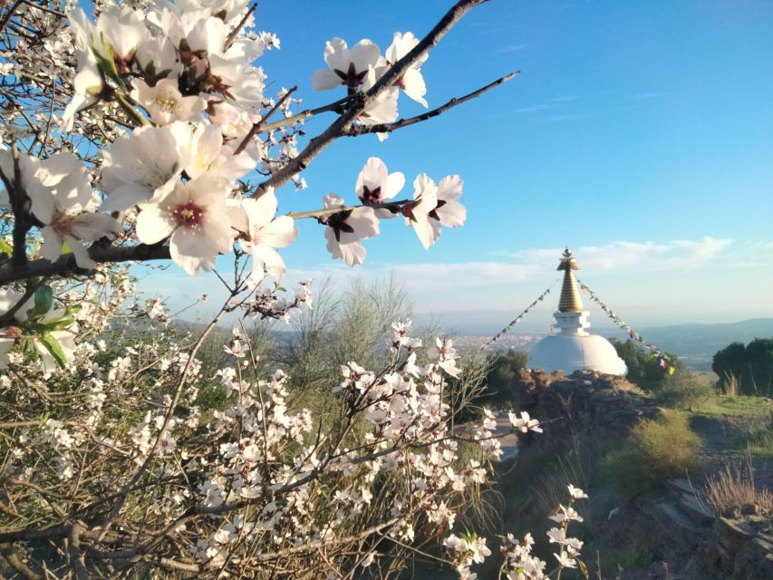 The Axarquia White Villages & Buddhist Stupa - SemiPrivate - Frequently Asked Questions