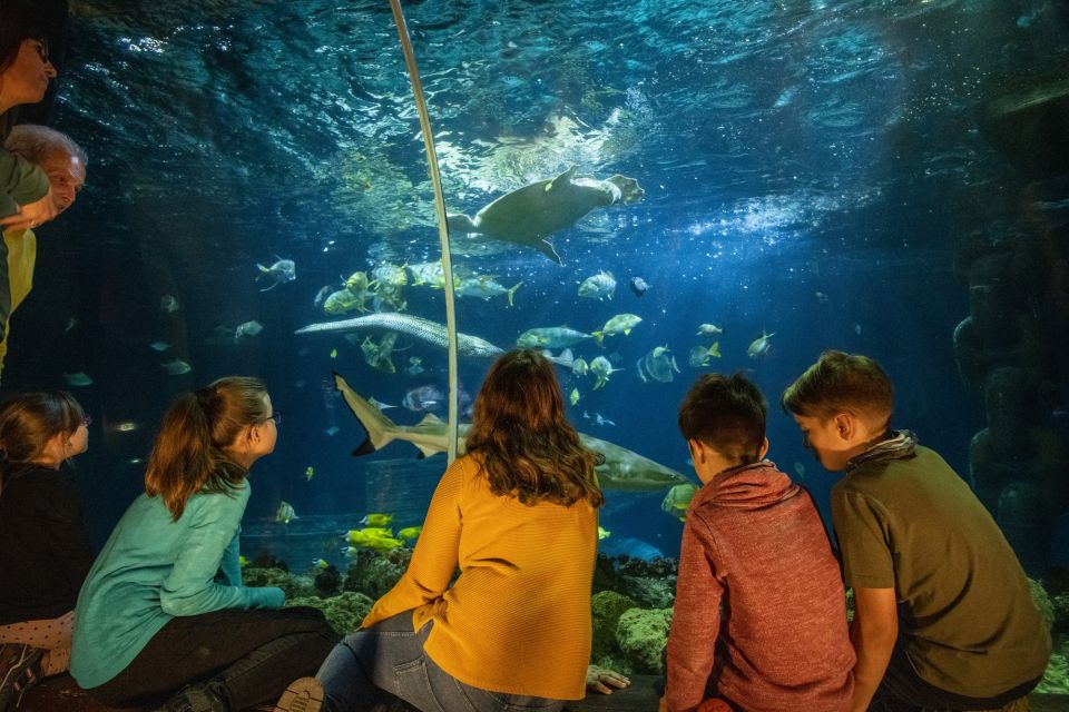 Ticket to SEA LIFE Konstanz - Frequently Asked Questions