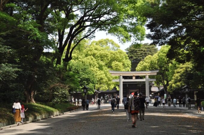 Tokyo & Fuji: Premium Car 2-Day Private Tour - Frequently Asked Questions