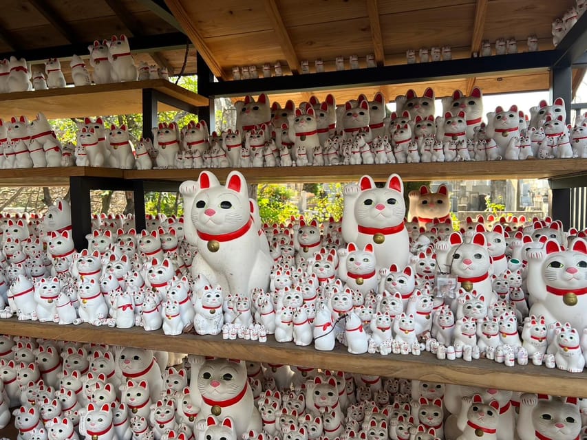 Tokyo Gotokuji Unique Temple Walking Tour for Cat Lovers. - Frequently Asked Questions