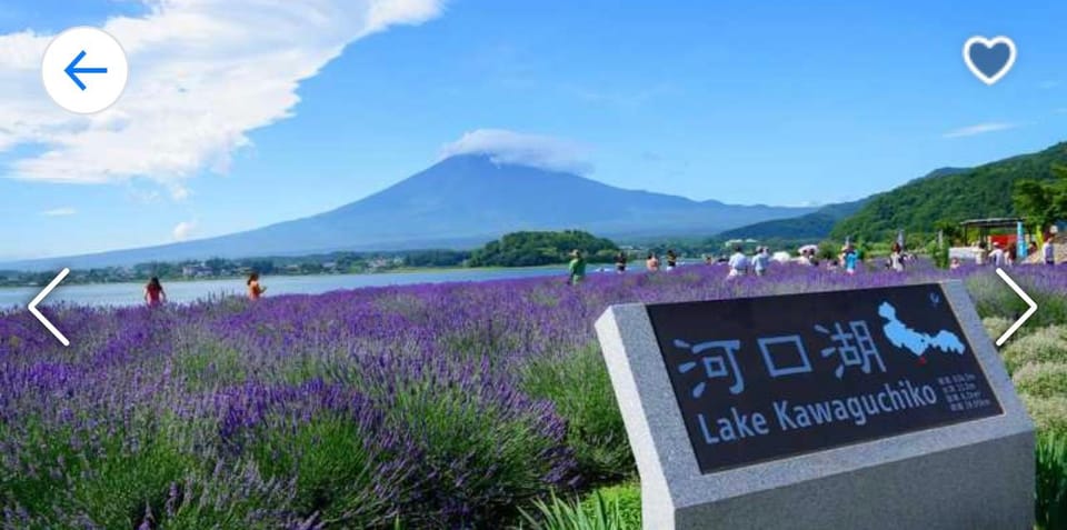 Tokyo: Mt. Fuji, Kawaguchi Lake, & Oshino Hakkai Day Trip - Recap