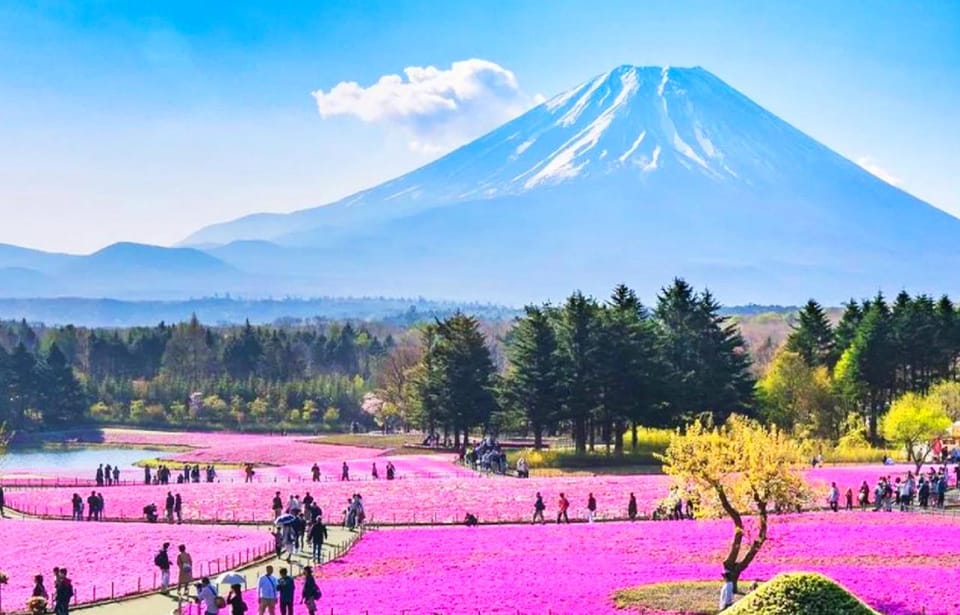 Tokyo: Mt.Fuji Kawaguchiko, Oshino Hakkai,Matcha-Making Tour - Recap