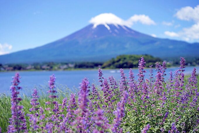 Tokyo: Mt Fuji Trip With Kawaguchiko Ropeway and Matcha Tea - Recap
