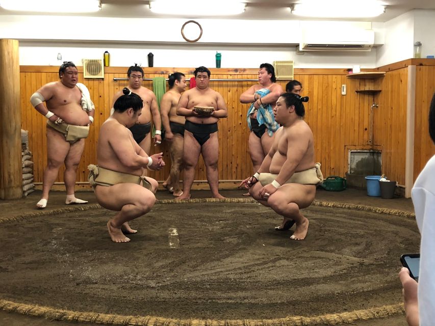 Tokyo: Real Sumo Morning Practice Tour at Yokozuna Stable - Recap