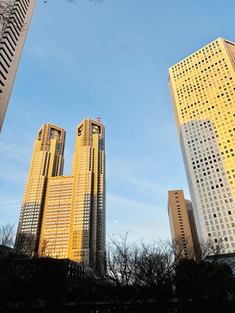 Tokyo: Shinjuku Panorama & Peace Tour With Izakaya Dinner - Recap