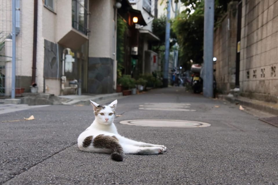 Tokyo Walking Tour of Historic Shopping Streets - Frequently Asked Questions