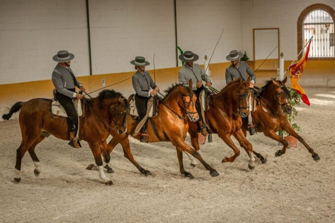 Torremolinos: Horse Show, Dinner Option, Drinks, & Flamenco - Frequently Asked Questions
