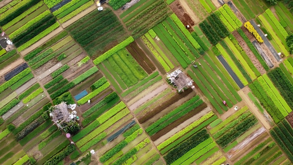 Tra Que Village Vegetable Farm Experience by Bike - Frequently Asked Questions