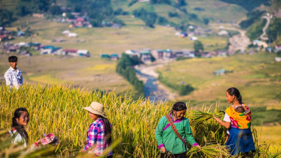 Trekking Through Rice Terraced Fields - Frequently Asked Questions