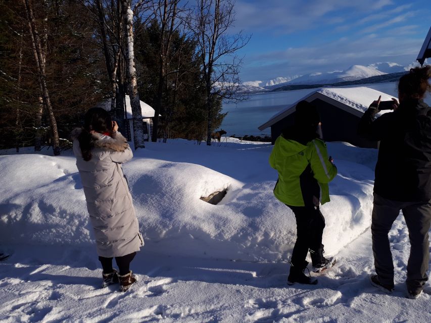 Tromsø: Arctic Landscape and Fjord Tour With Snacks - Frequently Asked Questions