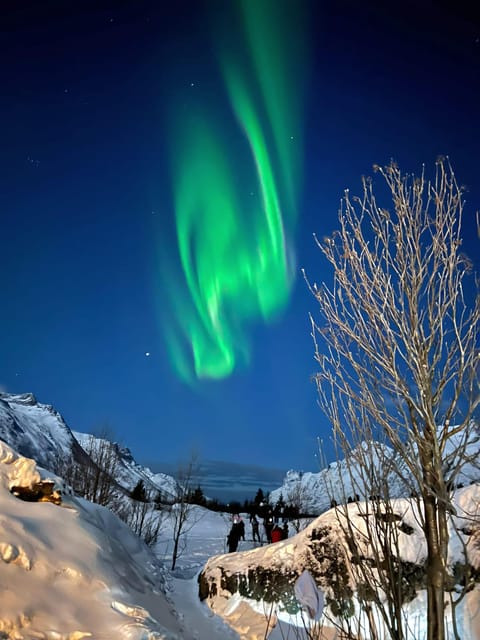 Tromso: Aurora Tour Hygge Magic Experience.(Wifi Free) - Frequently Asked Questions