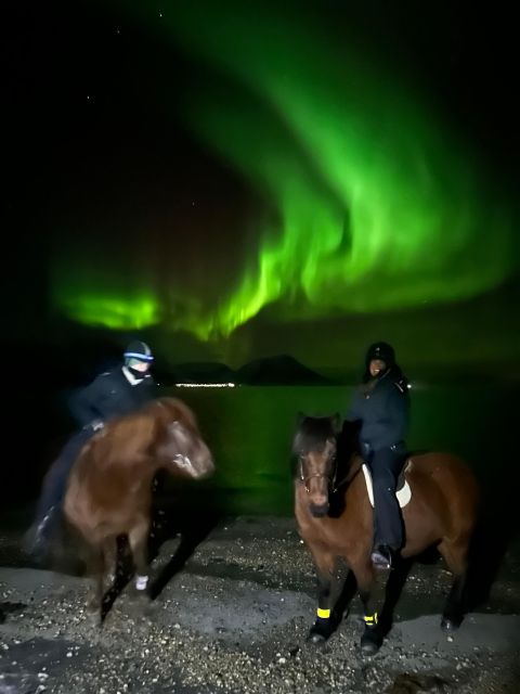 Tromsø: Lyngen Horseback Winter Evening Riding Experience - Frequently Asked Questions