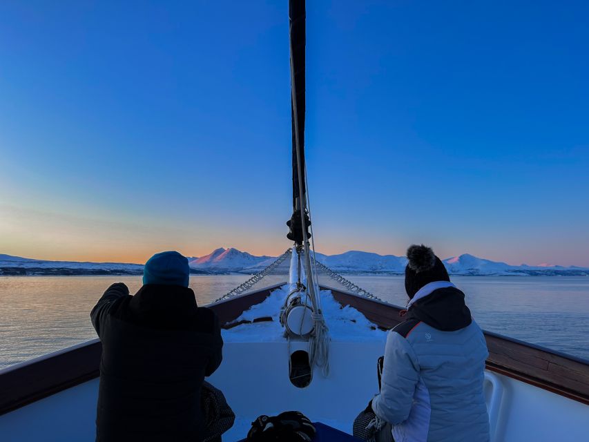 Tromsø: Polar Fjord Cruise on a Luxury Yacht With Lunch - Tour Overview and Pricing