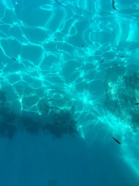 Tropea: Max 9 People Nice Tour From Tropea to Capo Vaticano - Frequently Asked Questions