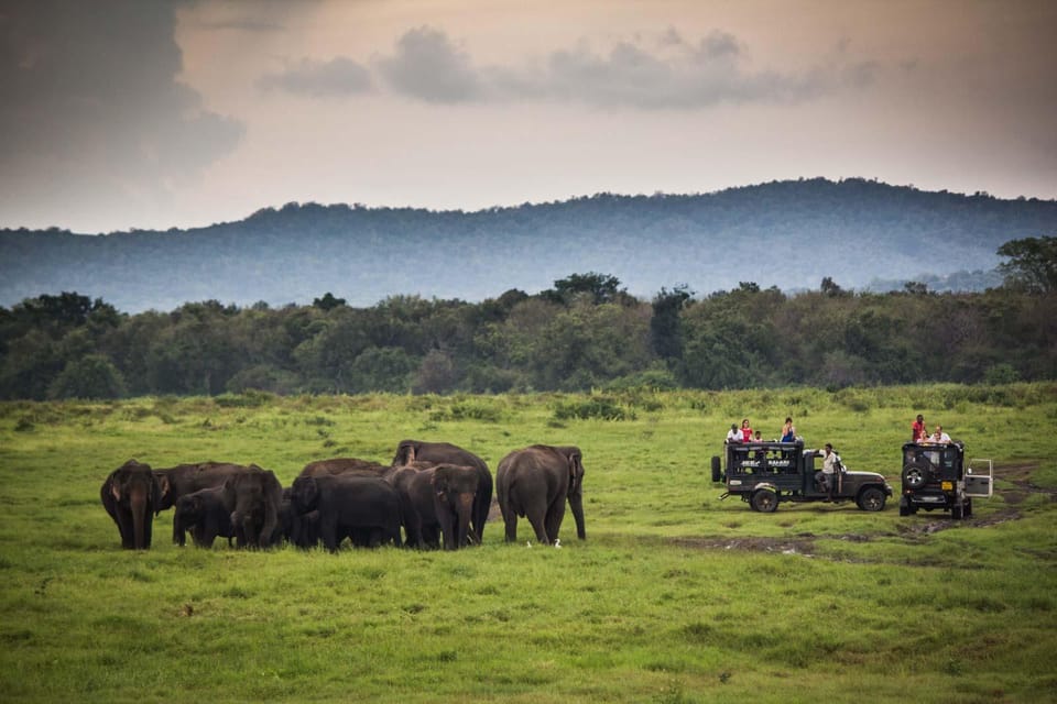 Udawalawa National Park: All-Inclusive Private Day Tour - Frequently Asked Questions