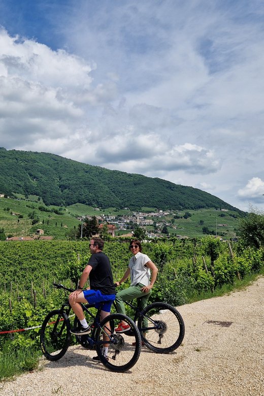 Valdobbiadene: Prosecco Express Wine Tasting and E-Bike Tour - Frequently Asked Questions