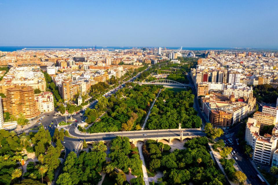 Valencia in 1 Day: Walking Tour - Audioguide in 7 Languages - The Sum Up