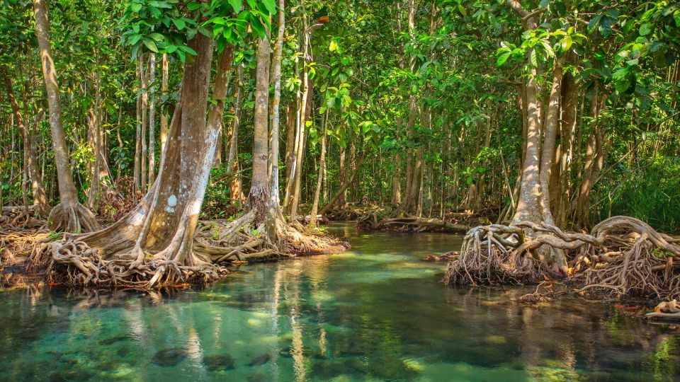 Vam Sat Mangrove Forest Private Tour From Ho Chi Minh City - Frequently Asked Questions