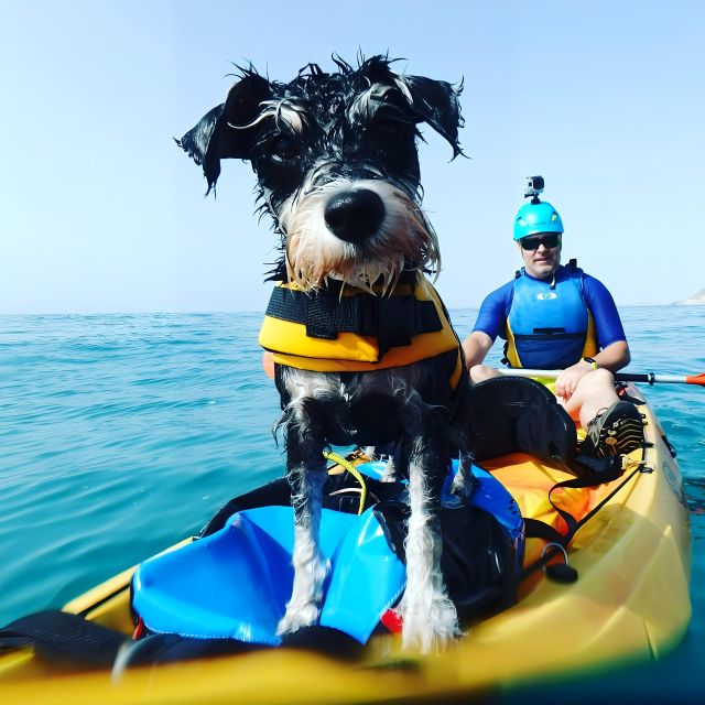 Villajoyosa: Kayaking With the Mans Best Friend, Your Dog - Frequently Asked Questions