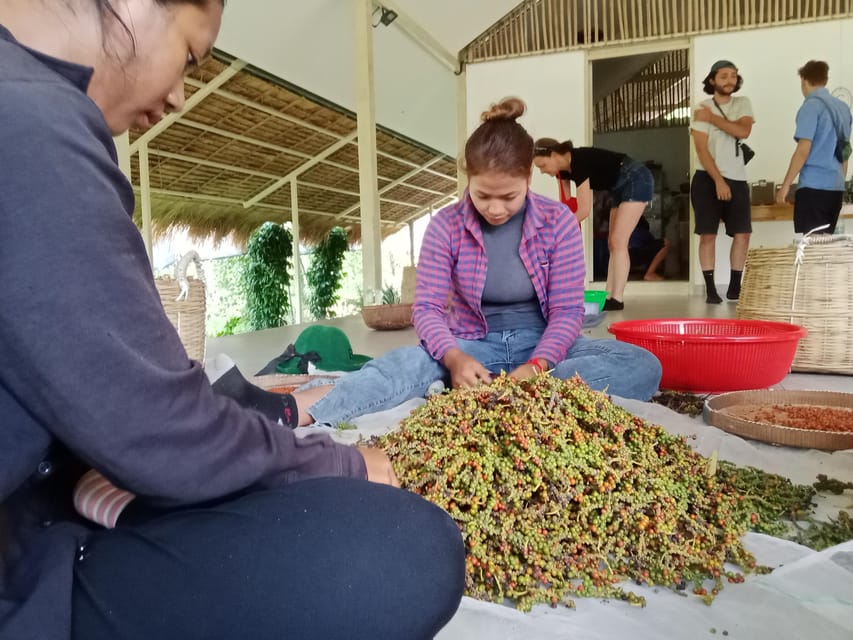 Visit Kampot Peppers Farm/ Kayaking and More...... - Frequently Asked Questions