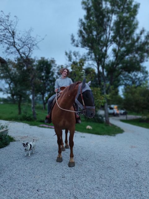 Wild Spring Ranch: Rakovica, Croatia, Horse Riding - Frequently Asked Questions