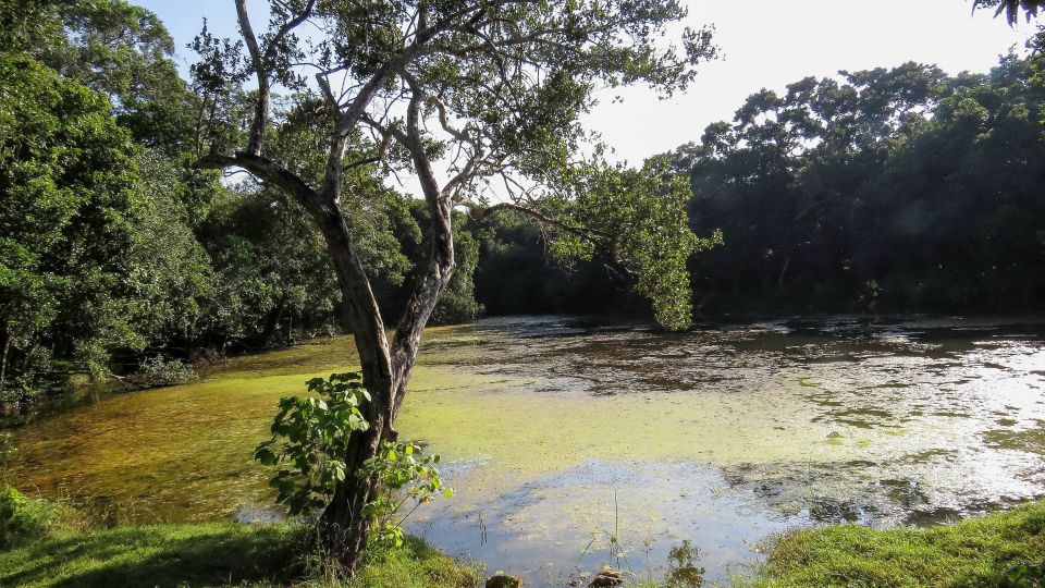 Wilpattu National Park: 3-Hour Morning or Evening Safari - Frequently Asked Questions