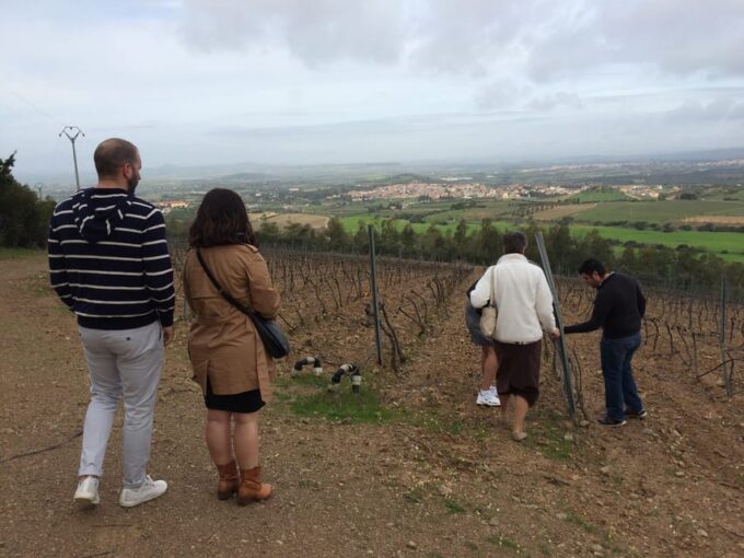 Wine Experience Around Cagliari - Frequently Asked Questions