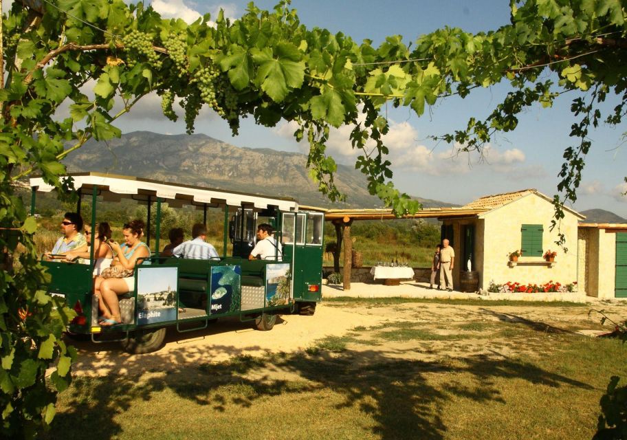 Wine Tasting on Peninsula PelješAc Wine Tour From Dubrovnik - Frequently Asked Questions