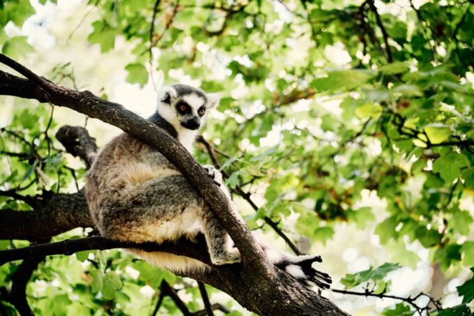 Wroclaw: Zoo With Private Transport and Tickets - Frequently Asked Questions