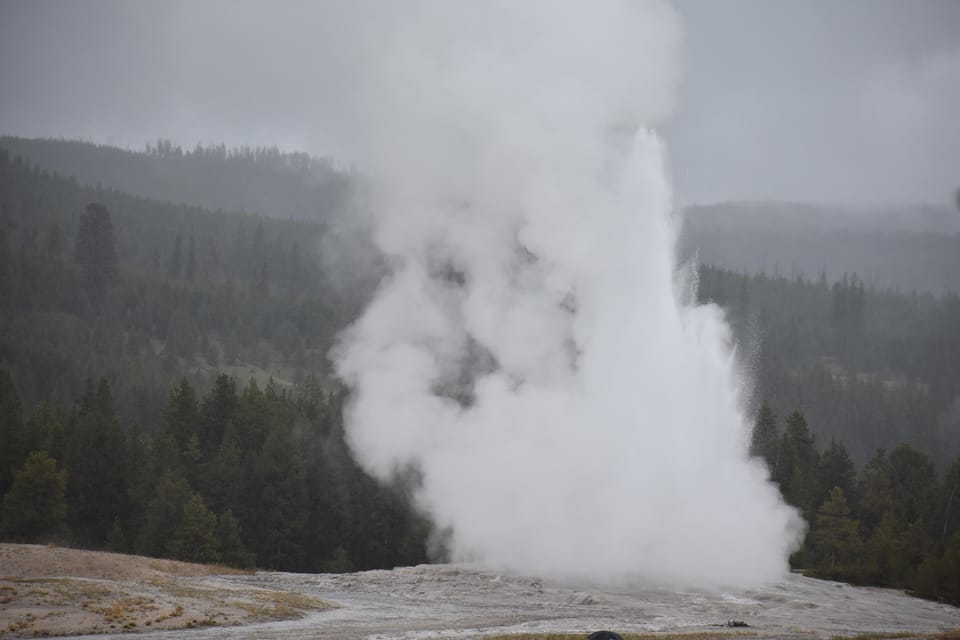 Yellowstone Wildlife Tours: From West Yellowstone Montana - Frequently Asked Questions