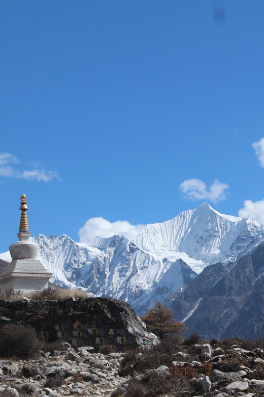 A 10-Day Trek to Langtang: Nature, Culture, and Adventure - Key Points