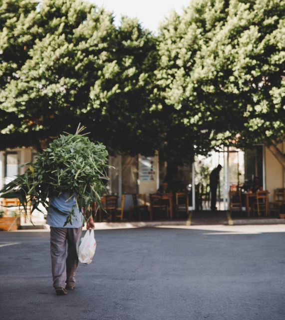 A Culinary Journey to Lassithi Plateau. From Heraklion. - Key Points