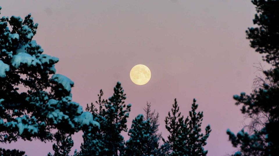 Abisko: Guided Sunrise Morning Hike With Hot Chocolate - Key Points