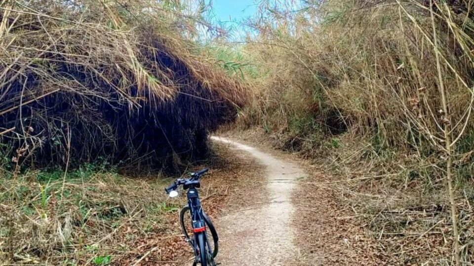 Active Bike Tour: River Turia Natural Park. - Key Points