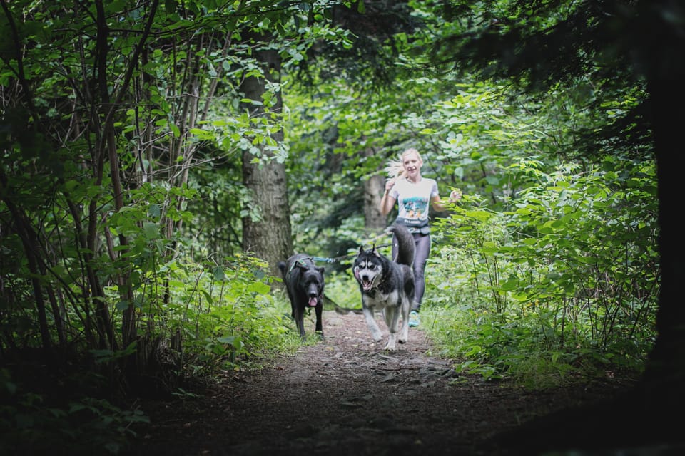 Adventure Tours With Dogs in Beskid Wyspowy - Hike - Good To Know