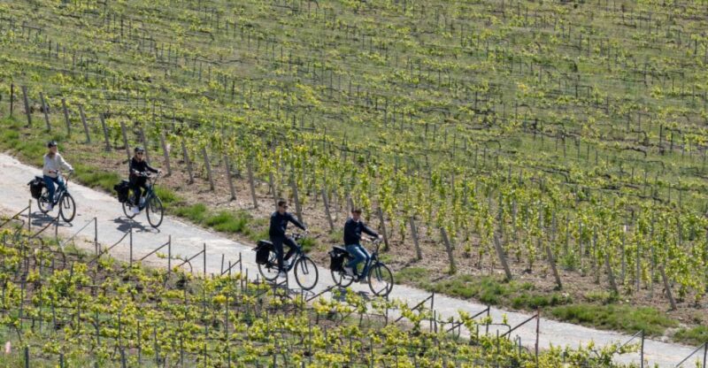 Afternoon E-Bike Champagne Tour From Reims - Key Points