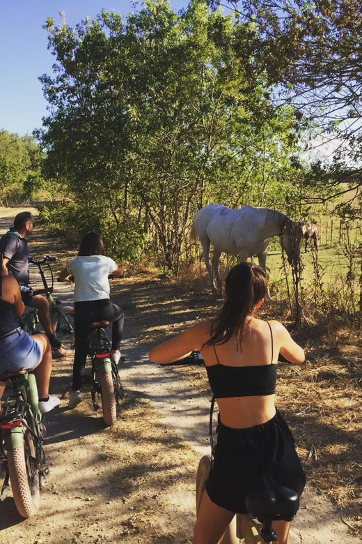 Aigues Mortes: Safari on a Bike - Ebike Tour in Camargue - Key Points