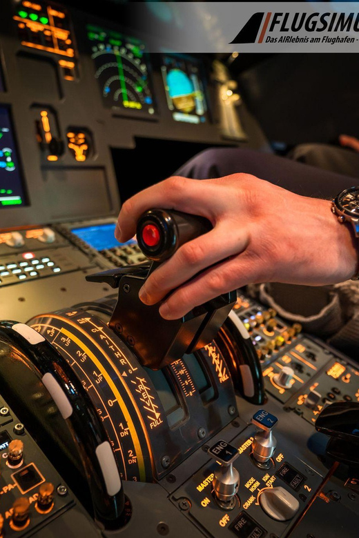 Airbus A320 Flight Simulator Frankfurt Airport - Key Points