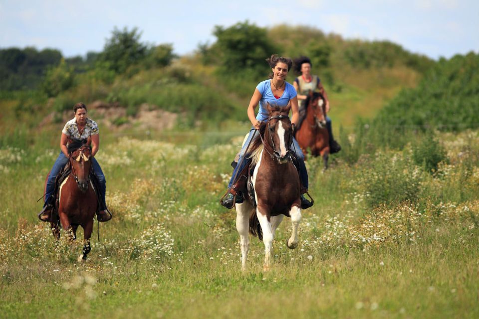 Alanya: Horse Riding Adventure - Overview of the Adventure