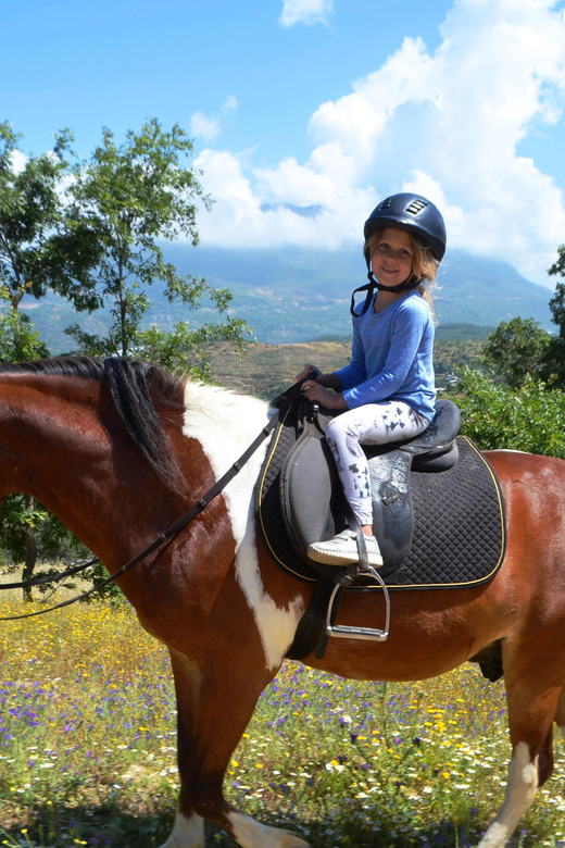 Alanya: Horse Riding Club Transfer Service - Key Points