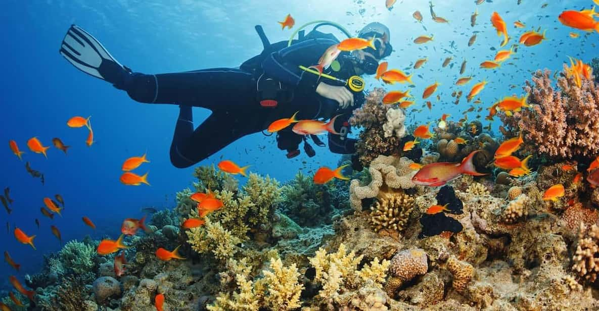 Alanya Scuba Diving Adventure - Key Points