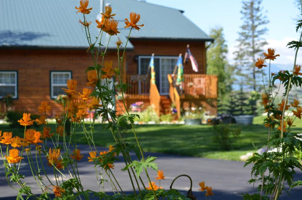 Alaskas Lake Lucille Bed & Breakfast Review