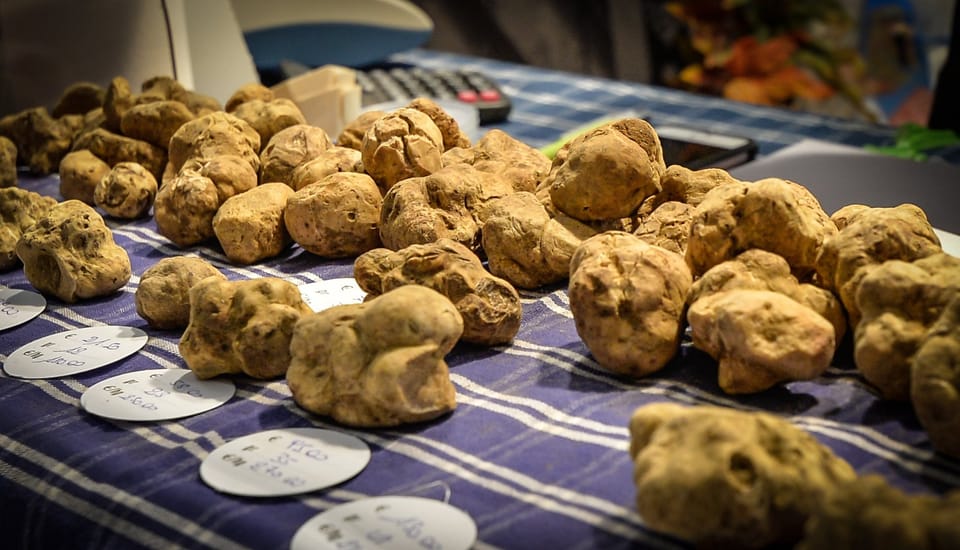 Alba Truffle Fair: Skip-the-Line Entrance and Private Tour - Key Points