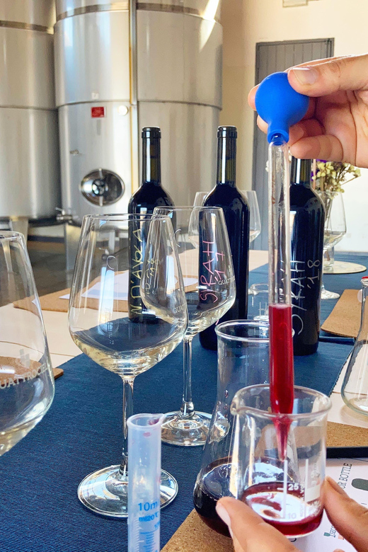Alcamo: Create Your Personal Blend of Wine - Overview of the Experience