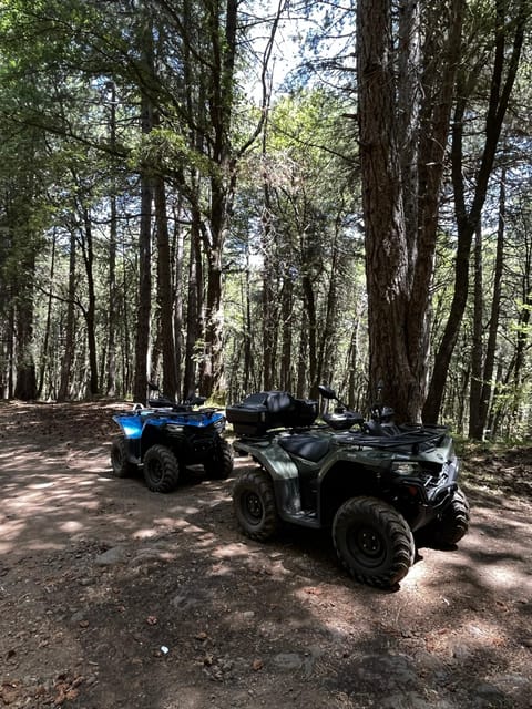 Alcantara: Valley and Gurne Dell'alcantara ATV Adventure - Key Points