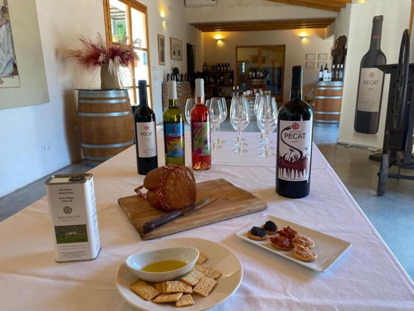 Alcudia: Vineyard Tour & Exclusive Wine Tasting Experience - Key Points