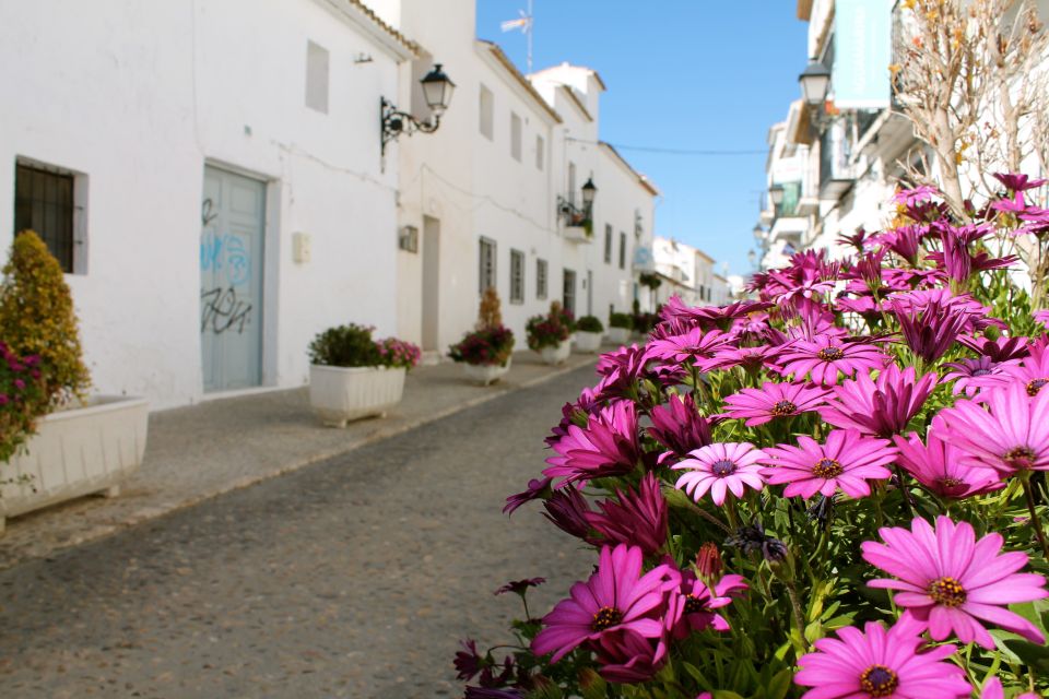 Alicante Charming Villages Tour: Villajoyosa and Altea - Key Points