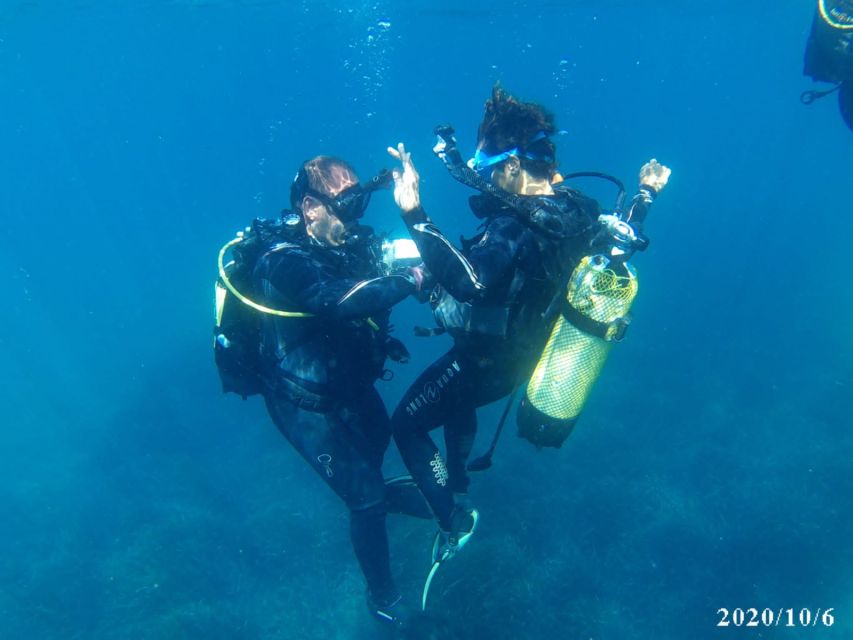 Alicante: Denia Beginners Scuba Diving Experience - Key Points